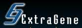 EXTRAGENE